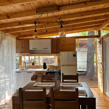 нереида Camping