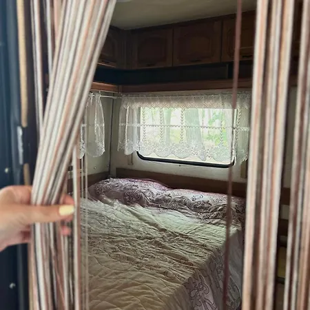 Camping нереида *