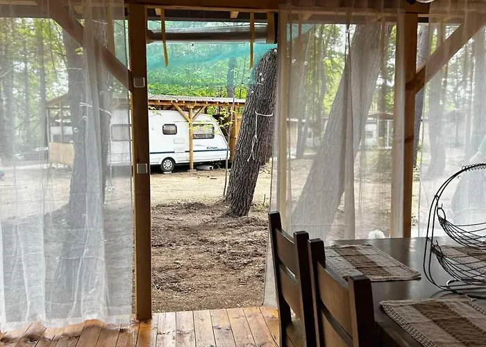 нереида Camping